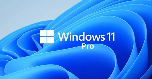 Windows 11 Pro 32/64 Bits